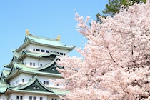 「何度も来たいお城です」“人気の城”ランキング（2025年版）第1位に「言わずと知れた天下の名城」「特に桜の季節は最高でした」の声