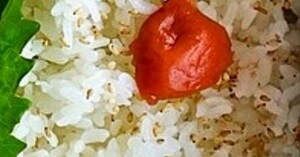漫画家が“リーマン時代の弁当”を公開→まさかの光景に思わず二度見「この発想は無かった」「労力もなかなかだと思うw」