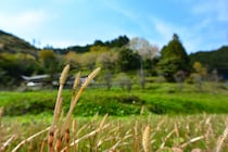 地元民しか読めないと思う「埼玉県の市町村名」ランキングTOP27！　第1位は「毛呂山町」【2026年最新調査結果】