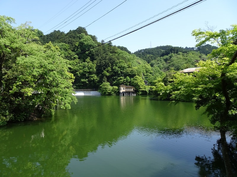 「常用漢字なのに……」　“地元民しか読めない埼玉の市町村名”→関東在住者が選ぶ1位に「可愛い名前だなぁって思ってた」の声