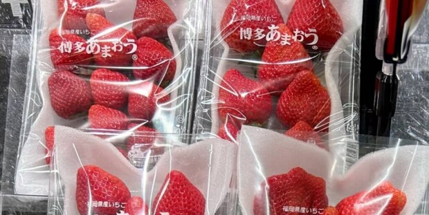 スーパーで買い物中→いちごコーナーをふと見ると…… まさかの光景に「すご!!」「よく見ないとわからなかったwww」