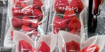 【画像】よく見ると“アレ”がいる