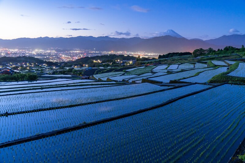 「山梨行ったら絶対買う」　老舗菓子店の“洋菓子”が絶賛　「美味しすぎて丸ごと食べそう」「甘じょっぱさが最高」