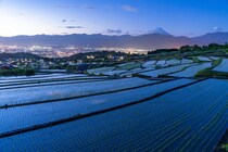 【画像】清月の“イタリアンロール”