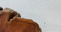 「現実味がない」　オフハウスで見かけた“660万円商品”にあ然　「一桁間違ってる？」　「どういうときに欲しくなるの……」