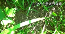 【画像】驚きの結果