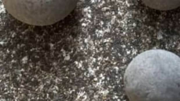 とある海岸で見つけた謎の丸い石、拾い集めていると……　思わぬ展開に反響「1年待ちましょう」「オチが秀逸」