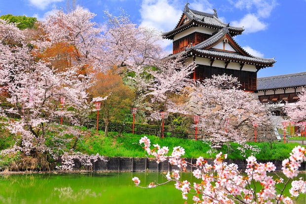 「もっと買っとけばよかった」　とろけるおいしさの“奈良銘菓”が絶賛　「奈良行ったら絶対買う」「柔らかい！とける、飲める！」