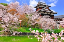 【画像】本家菊屋の“御城之口餅”