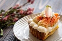 素材をよりひき立たせることをモットーにした洋菓子店などを紹介！　千葉県の「洋菓子」の名店10選！