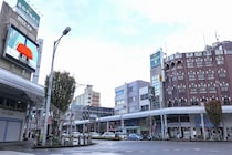 「そんな大都会でもないのに住みやすい」　永住したい“新潟県の街”第1位に「新潟にも東京にもすぐ遊びに行ける」「家も安いし最高」の声