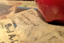 【画像】リンゴの正体