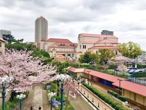 【関西版】魅力的な文化・娯楽施設が充実している「街（自治体）」ランキング！　2位は「大阪府大阪市北区」、1位は？