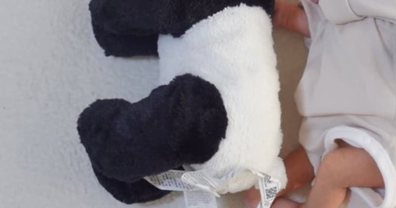 ぬいぐるみと同じサイズの赤ちゃん→2年後……　「こんなん泣いちゃう」　驚きの“現在の姿”に「なにこれエモすぎ」