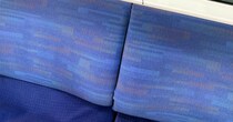 【画像】座席にいた「クワガタ」