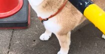 【画像】記事を読む