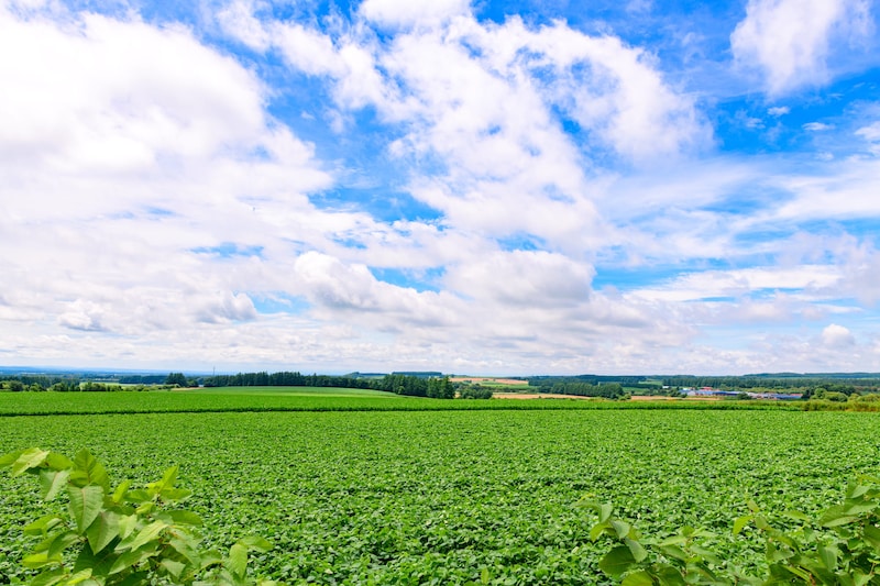 「最高すぎる」　“北海道の道の駅”ランキング1位に絶賛の声　「魅力が全部詰まってる」「普通に勝てるわけない」