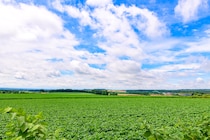 「最高すぎる」　“北海道の道の駅”ランキング1位に絶賛の声　「魅力が全部詰まってる」「普通に勝てるわけない」
