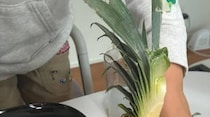 【画像】記事を読む