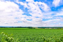 「最高すぎる」　“北海道の道の駅”ランキング1位に絶賛の声　「魅力が全部詰まってる」「普通に勝てるわけない」