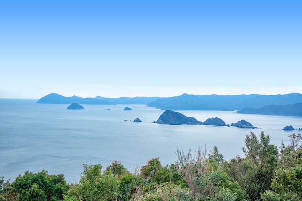 「いつも大分のお土産はこれ」大分県民が愛してやまない“ビロード箱の銘菓”に大絶賛　「崇高な箱が出てきて捨てるのに忍びない」「大分では知らない人は多分いない」