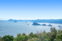 「いつも大分のお土産はこれ」大分県民が愛してやまない“ビロード箱の銘菓”に大絶賛　「崇高な箱が出てきて捨てるのに忍びない」「大分では知らない人は多分いない」