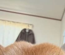 【画像】記事を読む