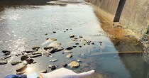 【画像】出てきた生き物