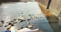 【動画】ガサガサの様子