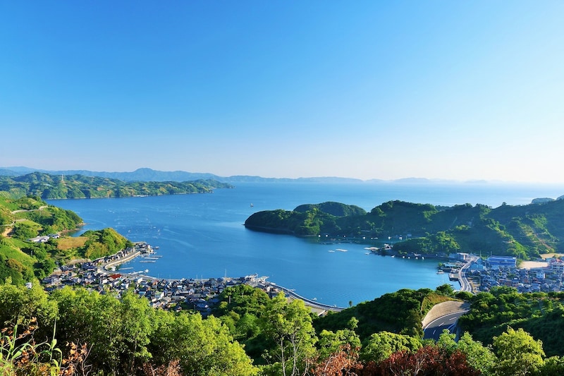 「次20個くらい買お！」買ってきてほしい“愛媛県のお土産”1位の銘菓に「職場でも好評」「めっちゃおいしくてすぐ食べちゃった」「これはリピートしたくなる」の声
