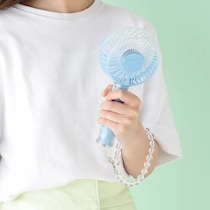 「一目惚れし即買い」「オシャレで可愛い」　毎年人気の「フランフラン」ハンディファン、2025年の売れ筋カラーは？