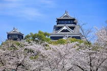 「何個食べたかわからん」買ってきてほしい“熊本県のお土産”1位に「おいしくて、安くて、おなか膨らみます」「めっっっちゃおいしい」の声