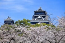 【画像：買ってきてほしい“熊本県のお土産”ランキング18位～1位を見る】