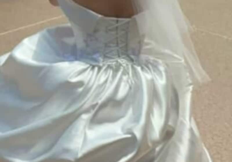 “ディズニー挙式”で主役の花嫁→手元を見ると……「面白すぎるでしょw」　300万表示の珍光景に「これぞオタク」「楽しそうだからヨシ！」