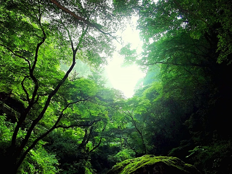 【関東在住者に聞いた】地元民しか読めないと思う「東京都の市区町村名」ランキング！　同率第1位は「御蔵島村」と？