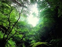 【関東在住者に聞いた】地元民しか読めないと思う「東京都の市区町村名」ランキング！　同率第1位は「御蔵島村」と？