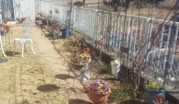 ごく普通の庭→主婦が10年以上かけて“100均DIY”したら……　感動の光景に「凄すぎです」「本当に憧れの美しいお庭」