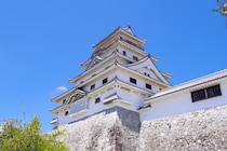 【画像：ランキング20位～1位を見る】