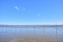 「本当に牡蠣が美味しい」　佐賀県で人気の“道の駅”に絶賛の声　「ドライブの途中のおすすめ場所」「干潟が一望できる」