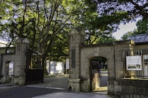 【画像：ランキング20位～1位を見る】