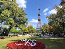 「1人あたりの公園面積が広い都道府県」ランキングTOP47！　第1位は「北海道」【2023年度末版】