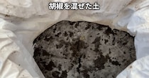【画像】記事を読む