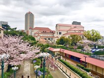 【関西版】魅力的な文化・娯楽施設が充実している「街（自治体）」ランキングTOP11！　第1位は「兵庫県宝塚市」【2026年最新調査結果】