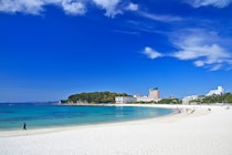 「忘れられない」“和歌山の銘菓”が大好評　「美味しくて秒でなくなった」「和歌山に行ったら絶対買う」「優しい甘さ」