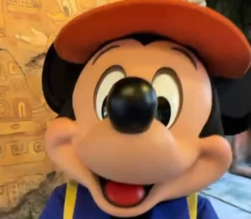 ディズニーの仲間たちに「親知らずを抜いてきた」と伝えたら……　爆笑必至のリアクションに「経験ありそうww」「愛しさえぐい」