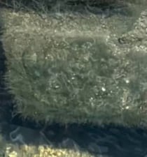 【画像】記事を読む