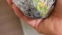 【画像】驚きの見た目
