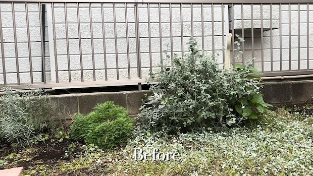 子育てママが小さな庭を“ゼロ”からDIYしたら……　思わず感動の光景に「何もかもが絵になります」「羨ましい」