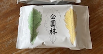 義両親と食べようと買った「六花亭の230円新作」→開けたら……「これはすごい」　まさかの中身に「大満足!!」「リピ買い決定です」