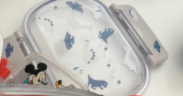 「やってしまった」→お弁当の日を忘れていたママ、5分で作ったのは……「こんなんなんぼあってもいい」「私のお弁当もこれが良いです」